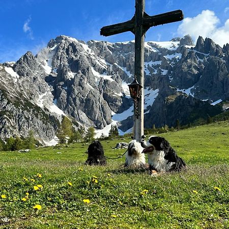 Apart Ursus Hinterthal Maria Alm am Steinernen Meer Εξωτερικό φωτογραφία