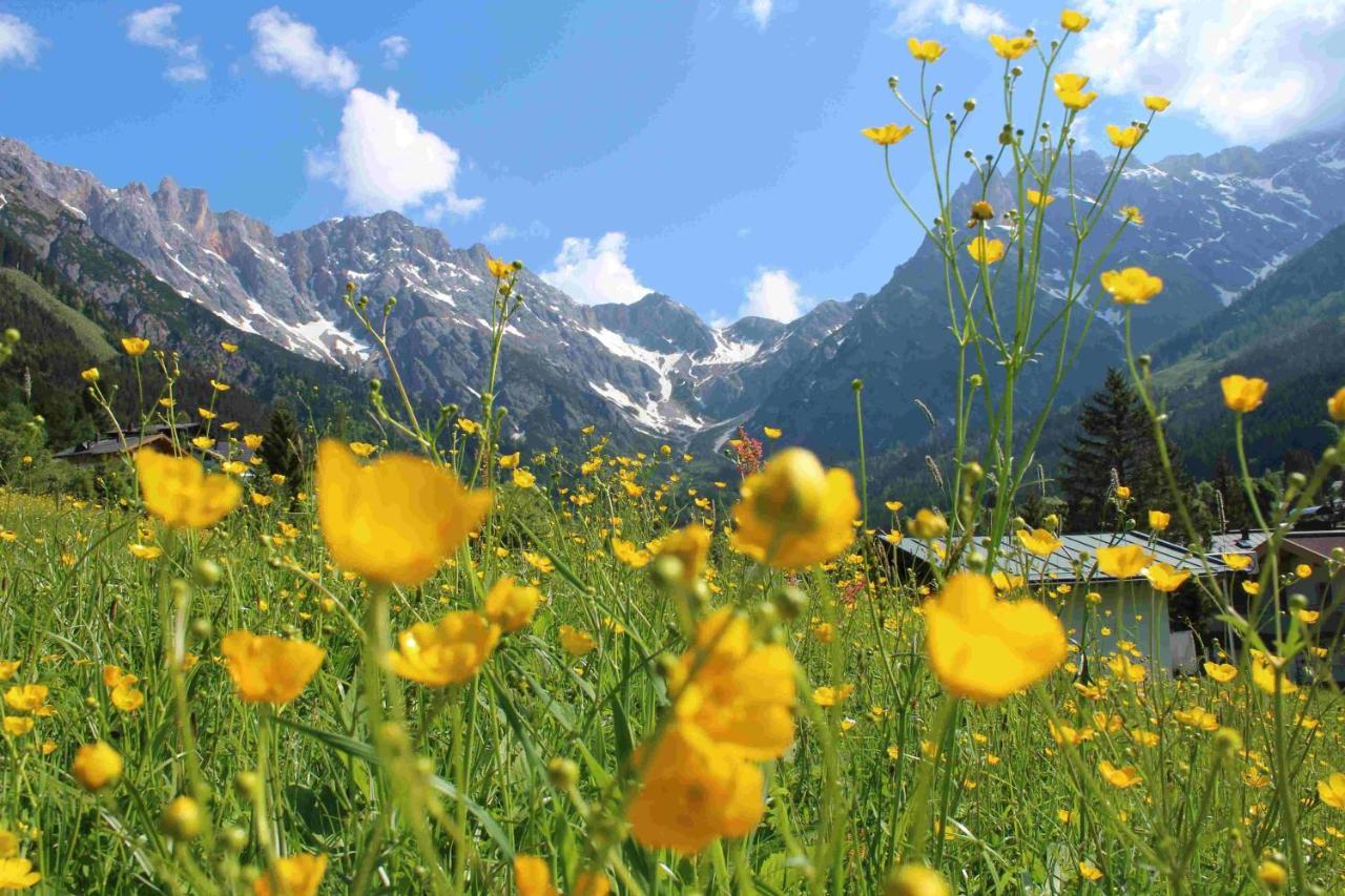 Apart Ursus Hinterthal Maria Alm am Steinernen Meer Εξωτερικό φωτογραφία