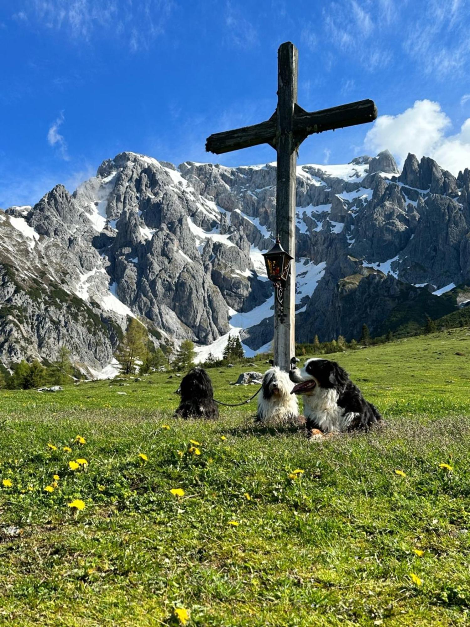 Apart Ursus Hinterthal Maria Alm am Steinernen Meer Εξωτερικό φωτογραφία