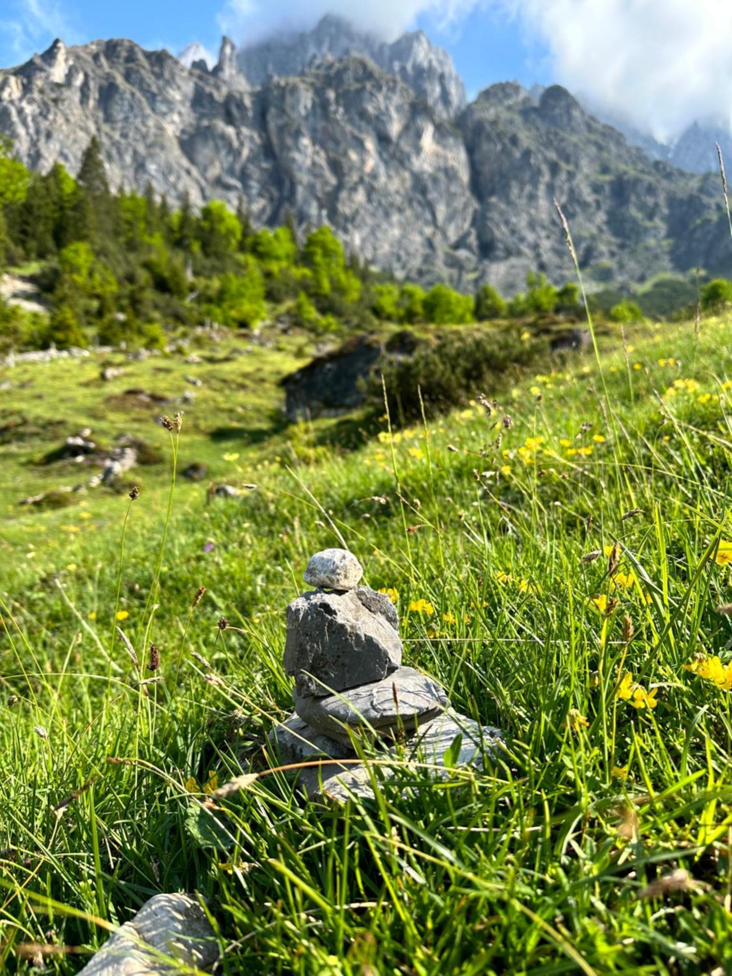 Apart Ursus Hinterthal Maria Alm am Steinernen Meer Εξωτερικό φωτογραφία
