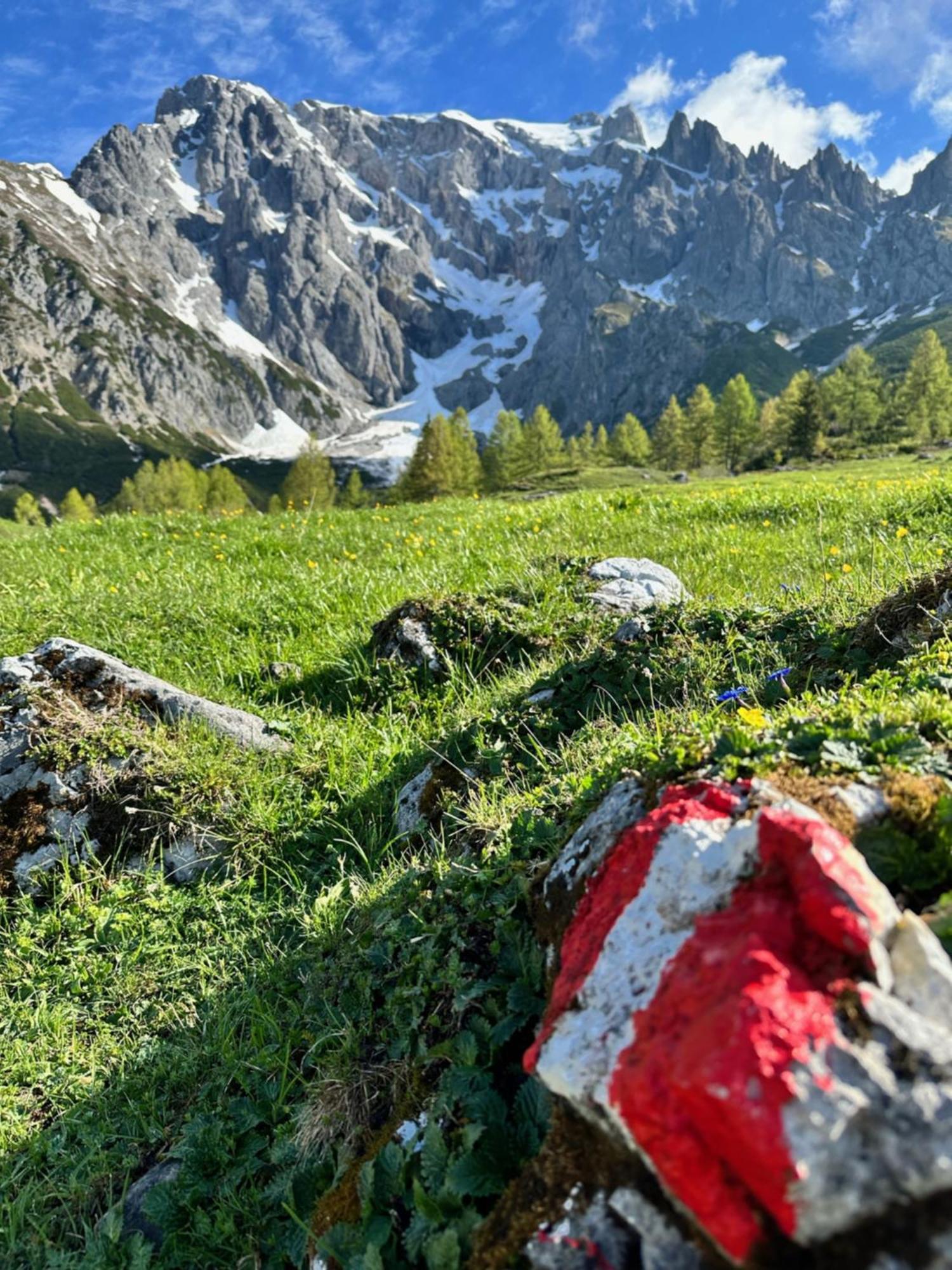 Apart Ursus Hinterthal Maria Alm am Steinernen Meer Εξωτερικό φωτογραφία